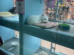 -FAELING PETS美天灵宠物(合生汇店)