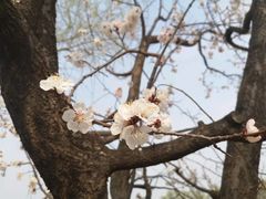 -亲兄弟真人CS团建拓展基地