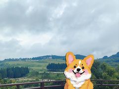 -玉舍国家森林公园