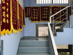 -甄爱宠物医院(疏影路店)
