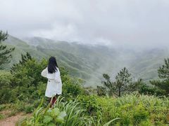-四明山国家森林公园