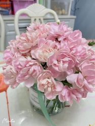 -Dr.林醫生产后修复·超级店(南京江宁同曦店)