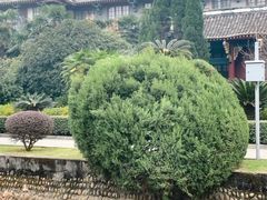 -华西坝(地铁站)