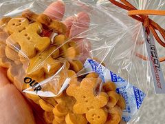 迷你姜饼仔-OUR Bakery(SKP-S店)