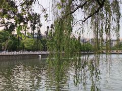 -翠湖公园