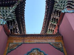 -北陵公园