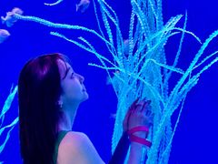 -沈阳海洋探索中心