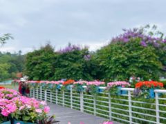 -广西壮族自治区药用植物园