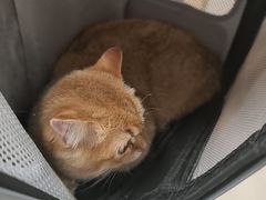 -艾贝尔宠物医院 ·中兽医·宠保定点(北门桥店)