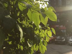 -陆府酒楼·衡阳味道(红湘店)