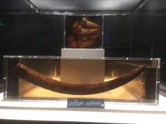 -金沙遗址博物馆