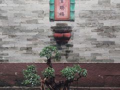 -碧江金楼