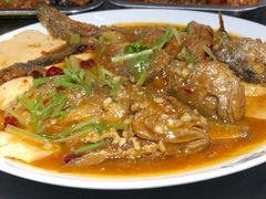 黄鱼烧豆腐-老兰家传统烧烤炒菜泡馍(小南门店)