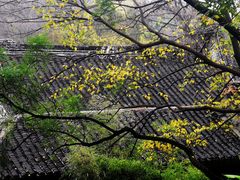 -惠山古镇·寄畅园