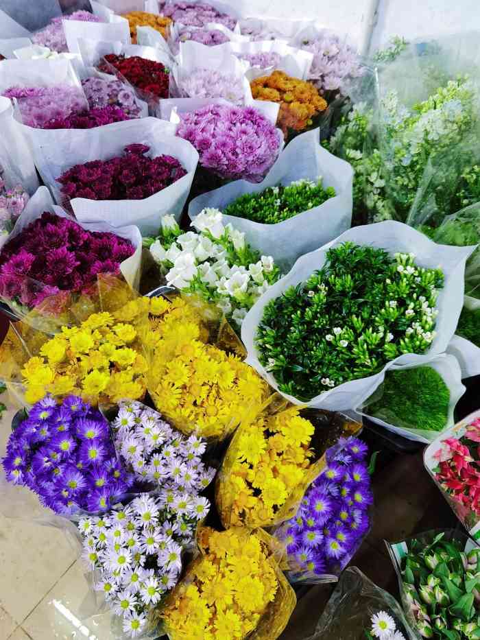 深圳八卦岭花卉市场图片