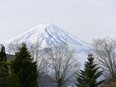 -河口湖八音盒之森美术馆