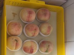 -老袁家蜜桃农场·阳山水蜜桃