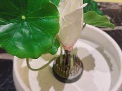 -泰河谷·豆捞