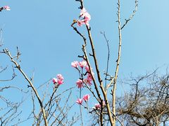 -飞虎过桥米线(翠湖店)