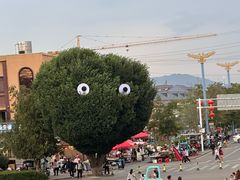 -特克斯八卦城