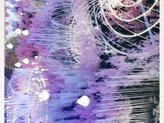 -世纪缘国际会议中心·中餐厅(百家湖店)