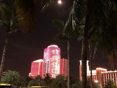 -万绿园