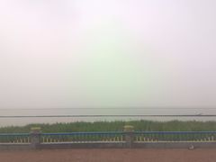 -合肥滨湖国家森林公园