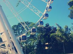 iphone_upload_pic-布里斯班南岸公园