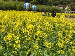 -苏州上方山国家森林公园