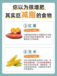 -Fundi张玉珊修身堂·indiba·BTL科技瘦身
