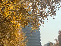 -玲珑塔公园