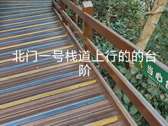 -野象谷景区