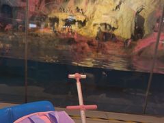 -帝企鹅自助餐厅•儿童岛•真企鹅(长隆企鹅酒店)