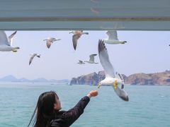 -海驴岛(荣成市)