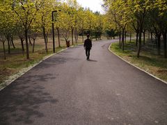 -东郊湿地公园
