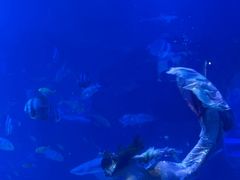 -太平洋海底世界