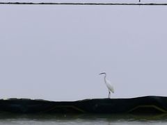 -湖州太湖旅游度假区-月亮广场