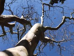 -天龙八部武侠城