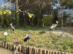 -上海野生动物园