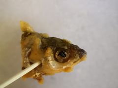-盒马鲜生(莱蒙都会店)