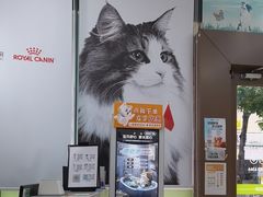 -瑞鹏宠物医院·微创内窥镜·骨外科·牙科(翠竹分院)