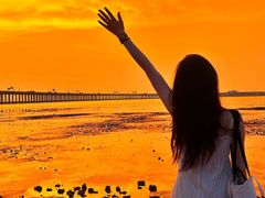 -宝安西湾红树林湿地公园