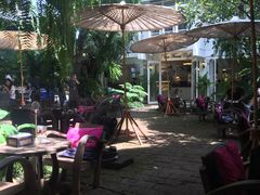 -Fern Forest Cafe