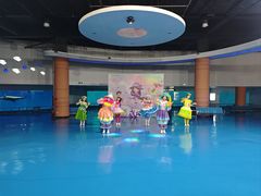 -泉城欧乐堡海洋极地世界