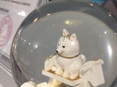 -Trend1881视光·蔡司视觉(领展广场店)