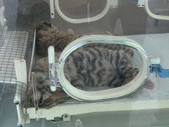 -宁波野生动物园