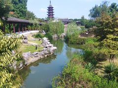 -苏州吴宫泛太平洋酒店