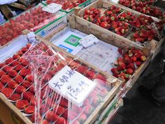 -何庄子阿米玛玛农产品批发市场
