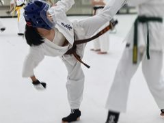 -极真空手道修远道场