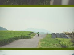 -雪绿茶博物馆
